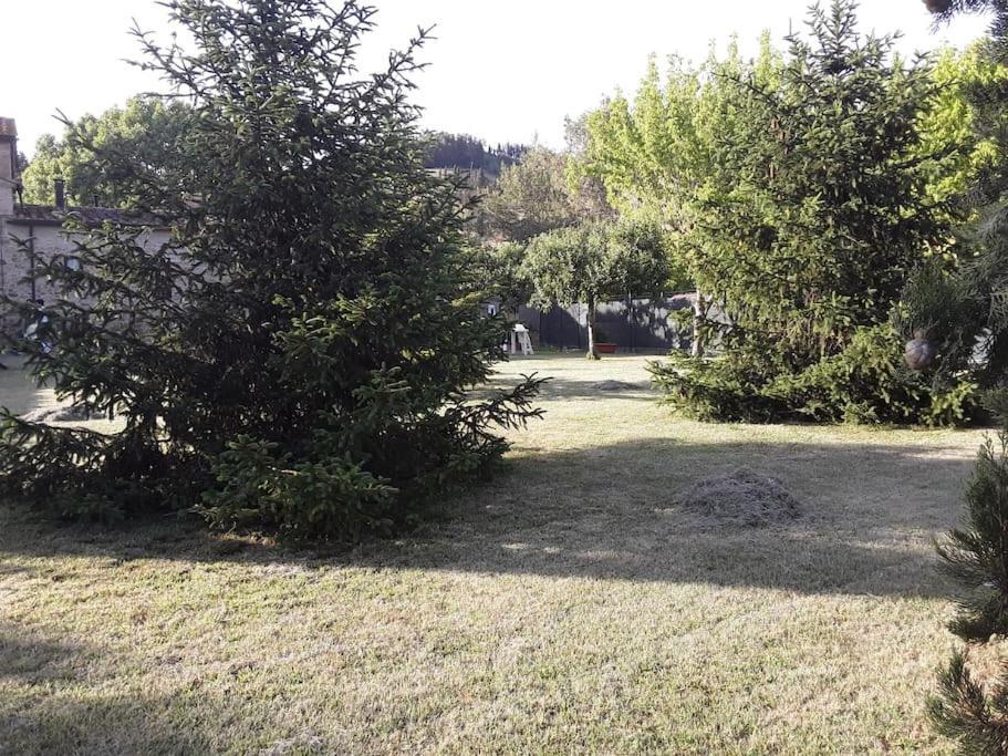 Agriturismo Podere Molino Peccioli Exterior foto